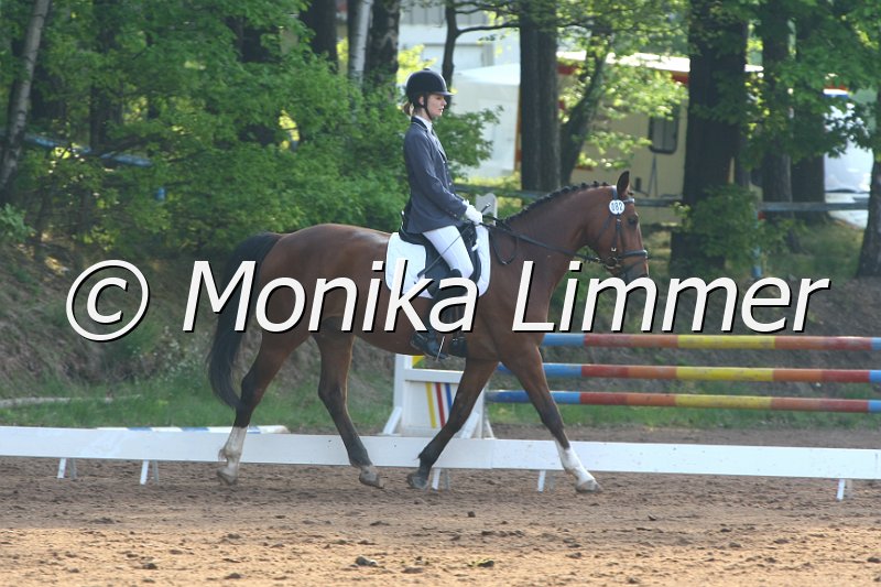 104M5115_De Coster_Dressur E.JPG